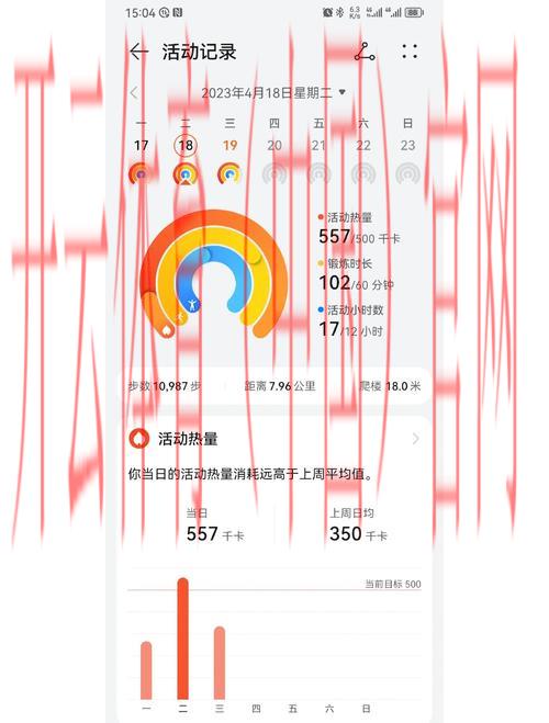 云开体育app登录,轻松畅享个人专属运动数据
