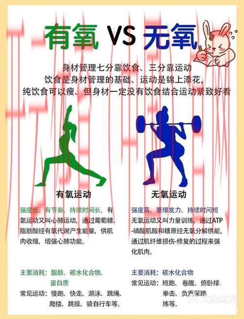 开运体育app, 助您掌握最新体育科学知识